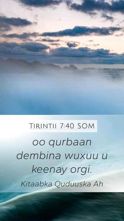 Tirintii 7:40 SOM Mobile Phone Wallpaper - oo qurbaan dembina wuxuu u keenay - Mobile Bible Verse Wallpaper