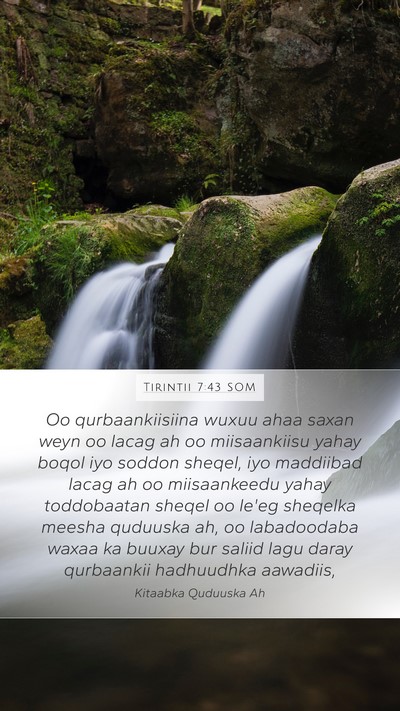 Tirintii 7:43 SOM Mobile Phone Wallpaper - Oo qurbaankiisiina wuxuu ahaa saxan weyn oo lacag - Mobile Bible Verse Wallpaper
