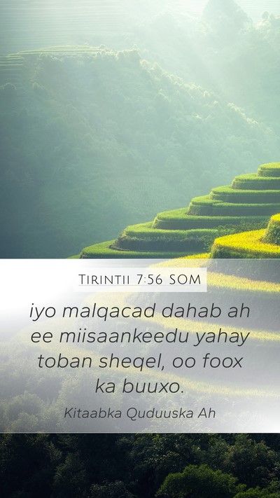 Tirintii 7:56 SOM Mobile Phone Wallpaper - iyo malqacad dahab ah ee miisaankeedu yahay toban - Mobile Bible Verse Wallpaper