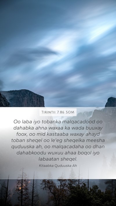 Tirintii 7:86 SOM Mobile Phone Wallpaper - Oo laba iyo tobanka malqacadood oo dahabka ahna - Mobile Bible Verse Wallpaper
