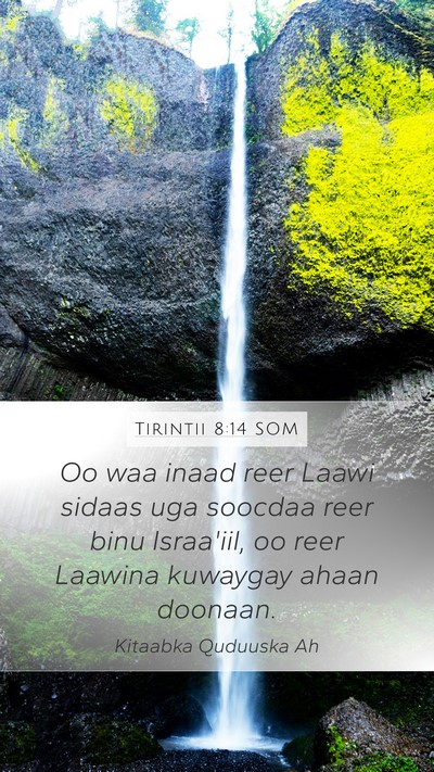 Tirintii 8:14 SOM Mobile Phone Wallpaper - Oo waa inaad reer Laawi sidaas uga soocdaa reer - Mobile Bible Verse Wallpaper