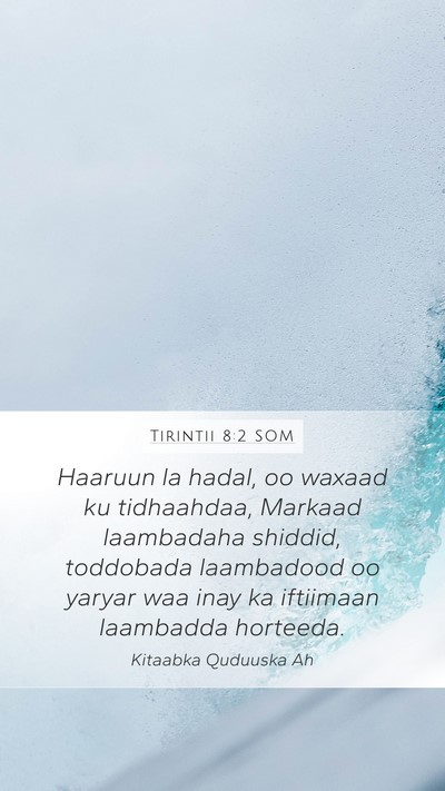 Tirintii 8:2 SOM Bible Verse Image