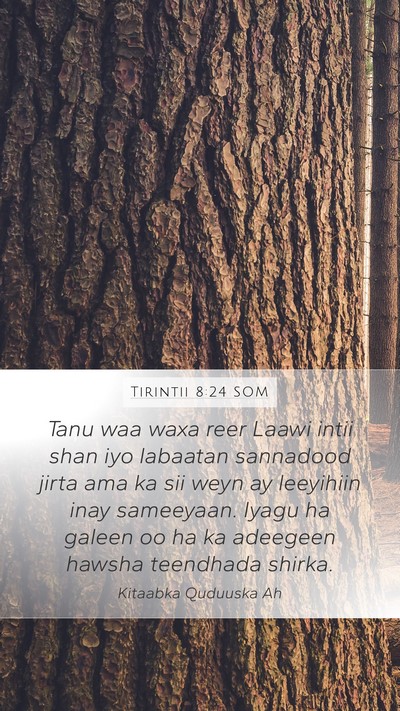 Tirintii 8:24 SOM Bible Verse Image