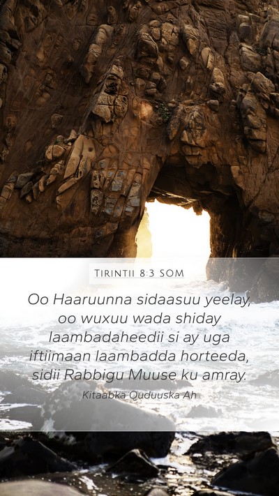 Tirintii 8:3 SOM Mobile Phone Wallpaper - Oo Haaruunna sidaasuu yeelay, oo wuxuu wada - Mobile Bible Verse Wallpaper