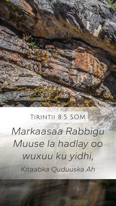 Tirintii 8:5 SOM Bible Verse Image