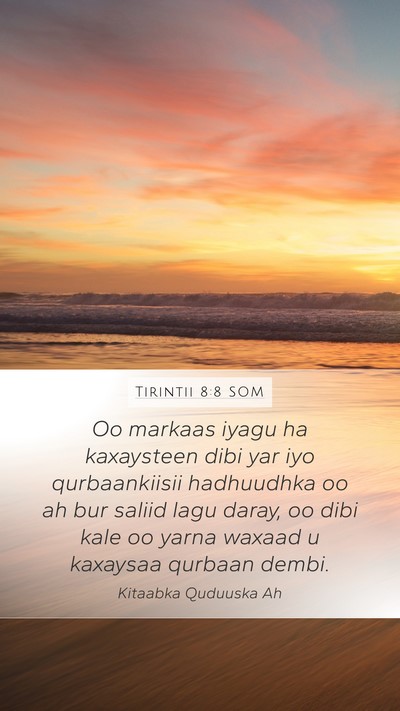 Tirintii 8:8 SOM Mobile Phone Wallpaper - Oo markaas iyagu ha kaxaysteen dibi yar iyo - Mobile Bible Verse Wallpaper