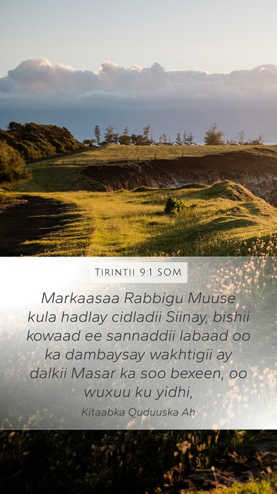 Tirintii 9:1 SOM Bible Verse Image
