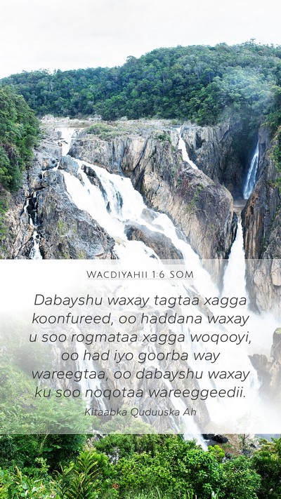 Wacdiyahii 1:6 SOM Bible Verse Image