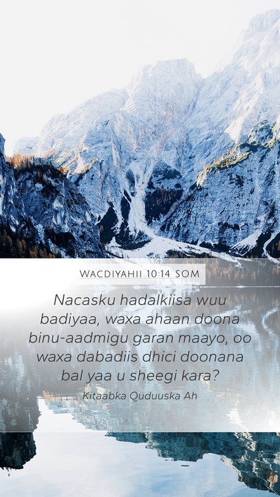 Wacdiyahii 10:14 SOM Bible Verse Image