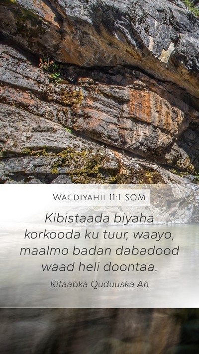 Wacdiyahii 11:1 SOM Bible Verse Image