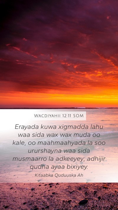 Wacdiyahii 12:11 SOM Bible Verse Image