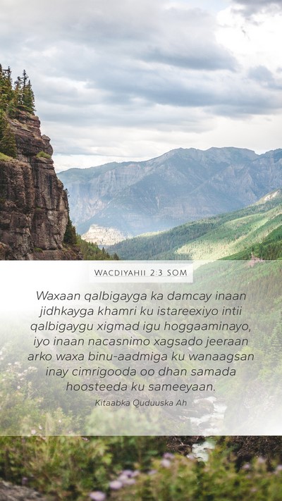 Wacdiyahii 2:3 SOM Bible Verse Image