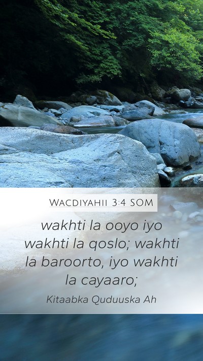 Wacdiyahii 3:4 SOM Bible Verse Image