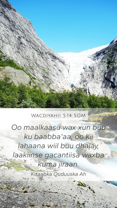 Wacdiyahii 5:14 SOM Bible Verse Image
