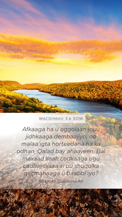 Wacdiyahii 5:6 SOM Bible Verse Image