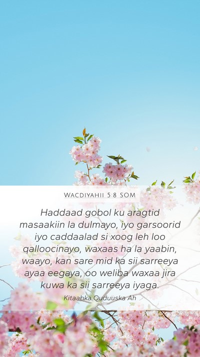 Wacdiyahii 5:8 SOM Bible Verse Image