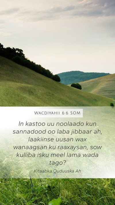 Wacdiyahii 6:6 SOM Bible Verse Image