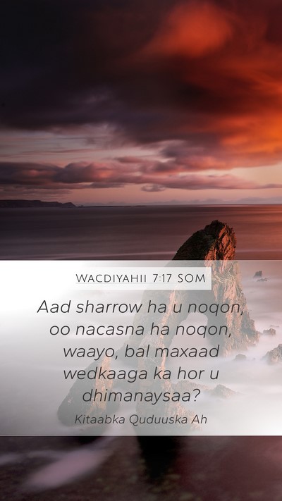 Wacdiyahii 7:17 SOM Bible Verse Image
