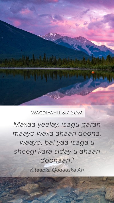 Wacdiyahii 8:7 SOM Mobile Phone Wallpaper - Maxaa yeelay, isagu garan maayo waxa ahaan doona, - Mobile Bible Verse Wallpaper
