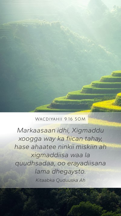 Wacdiyahii 9:16 SOM Bible Verse Image