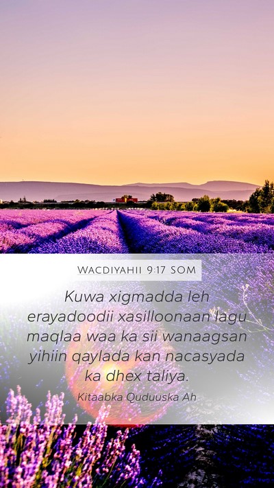 Wacdiyahii 9:17 SOM Mobile Phone Wallpaper - Kuwa xigmadda leh erayadoodii xasilloonaan lagu - Mobile Bible Verse Wallpaper