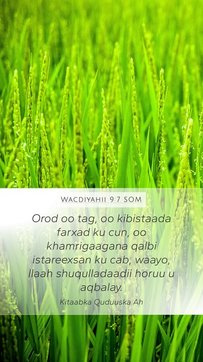 Wacdiyahii 9:7 SOM Bible Verse Image