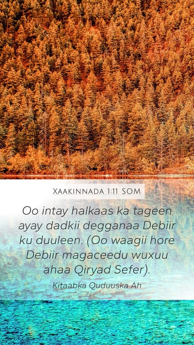 Xaakinnada 1:11 SOM Bible Verse Image