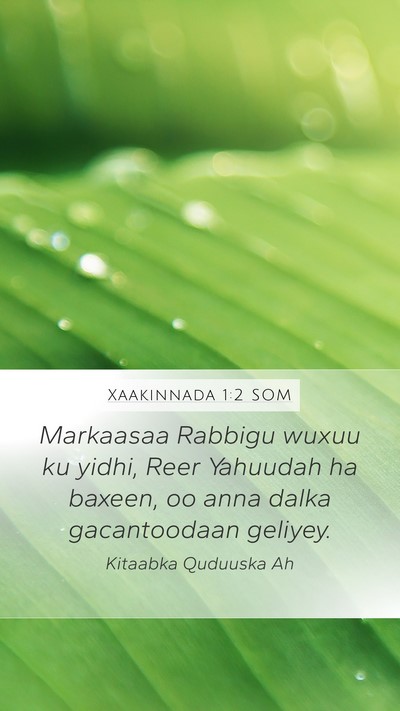 Xaakinnada 1:2 SOM Mobile Phone Wallpaper - Markaasaa Rabbigu wuxuu ku yidhi, Reer Yahuudah - Mobile Bible Verse Wallpaper