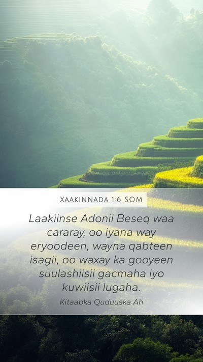 Xaakinnada 1:6 SOM Bible Verse Image
