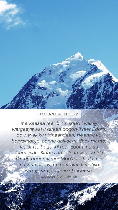 Xaakinnada 11:17 SOM Bible Verse Image