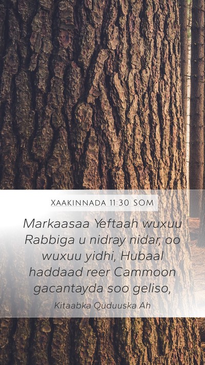 Xaakinnada 11:30 SOM Bible Verse Image