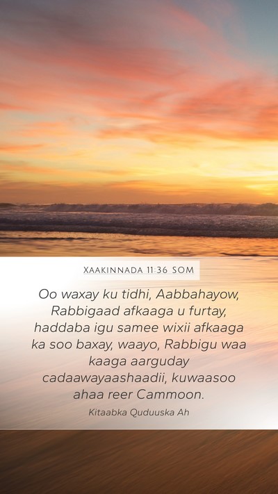 Xaakinnada 11:36 SOM Mobile Phone Wallpaper - Oo waxay ku tidhi, Aabbahayow, Rabbigaad afkaaga - Mobile Bible Verse Wallpaper