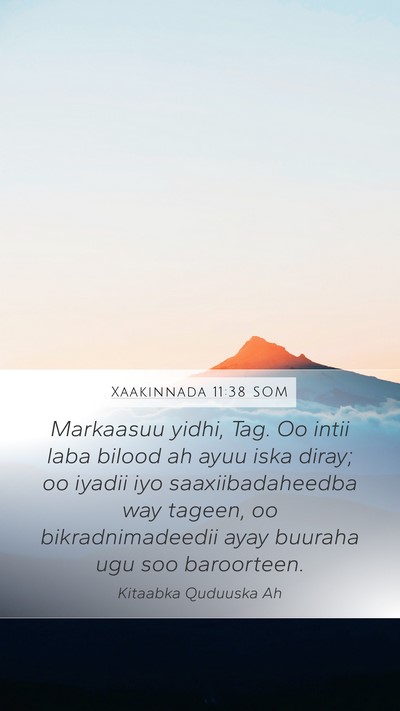 Xaakinnada 11:38 SOM Bible Verse Image
