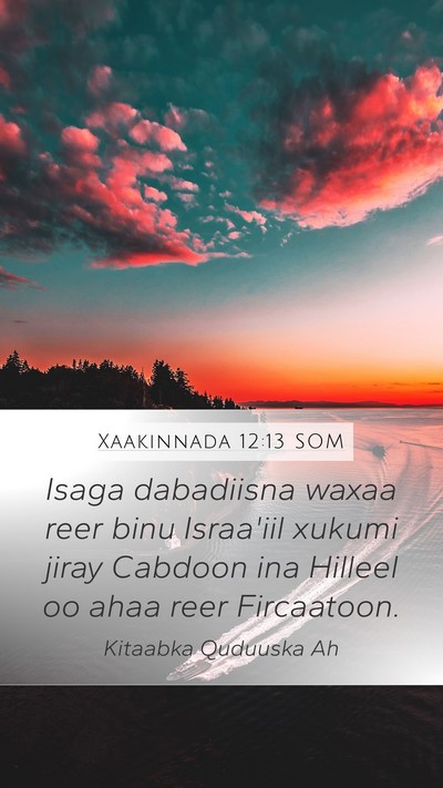 Xaakinnada 12:13 SOM Mobile Phone Wallpaper - Isaga dabadiisna waxaa reer binu Israa'iil xukumi - Mobile Bible Verse Wallpaper