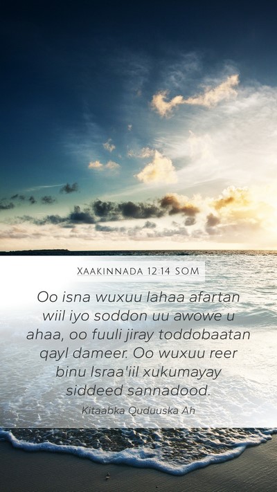 Xaakinnada 12:14 SOM Bible Verse Image