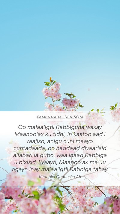 Xaakinnada 13:16 SOM Bible Verse Image