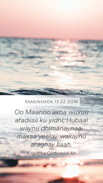 Xaakinnada 13:22 SOM Bible Verse Image