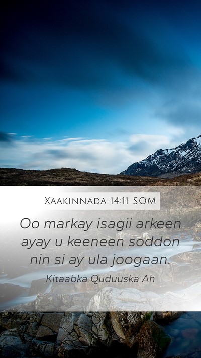 Xaakinnada 14:11 SOM Bible Verse Image