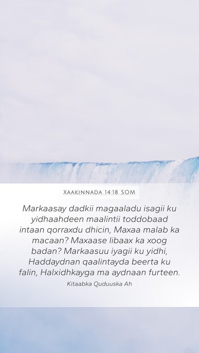 Xaakinnada 14:18 SOM Mobile Phone Wallpaper - Markaasay dadkii magaaladu isagii ku yidhaahdeen - Mobile Bible Verse Wallpaper