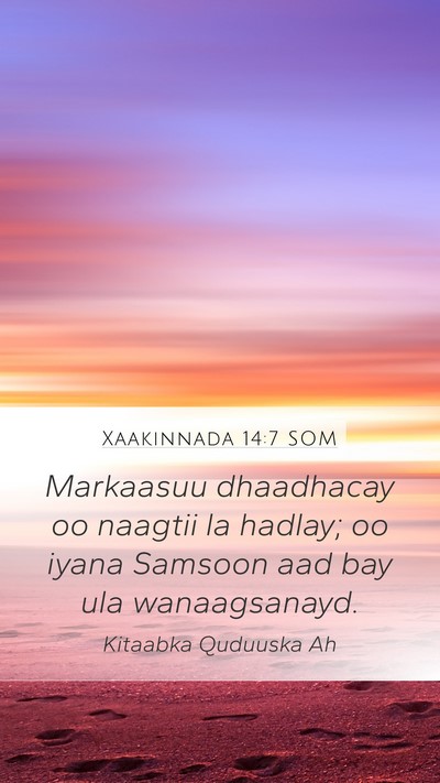 Xaakinnada 14:7 SOM Mobile Phone Wallpaper - Markaasuu dhaadhacay oo naagtii la hadlay; oo - Mobile Bible Verse Wallpaper
