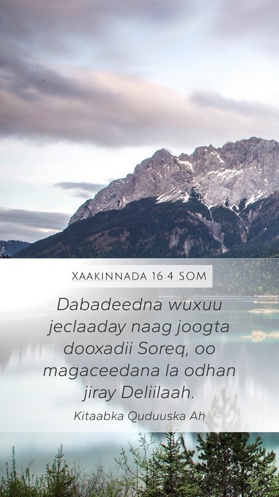 Xaakinnada 16:4 SOM Bible Verse Image