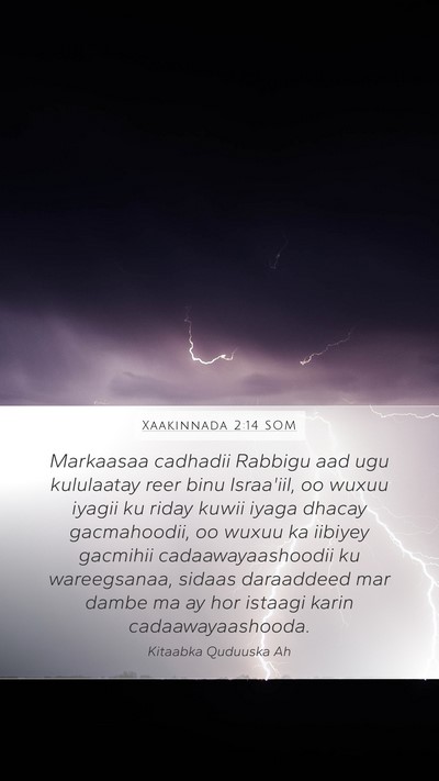 Xaakinnada 2:14 SOM Bible Verse Image