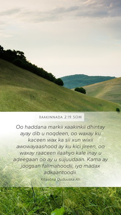 Xaakinnada 2:19 SOM Bible Verse Image