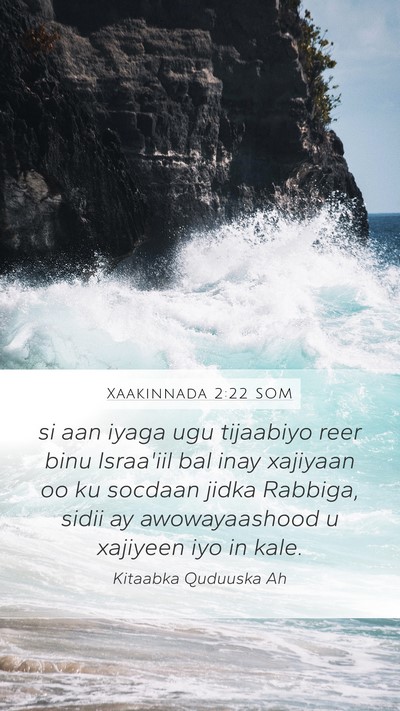 Xaakinnada 2:22 SOM Bible Verse Image