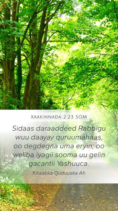 Xaakinnada 2:23 SOM Mobile Phone Wallpaper - Sidaas daraaddeed Rabbigu wuu daayay quruumahaas, - Mobile Bible Verse Wallpaper