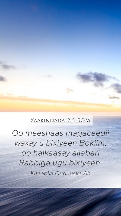 Xaakinnada 2:5 SOM Bible Verse Image