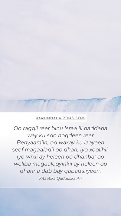 Xaakinnada 20:48 SOM Bible Verse Image