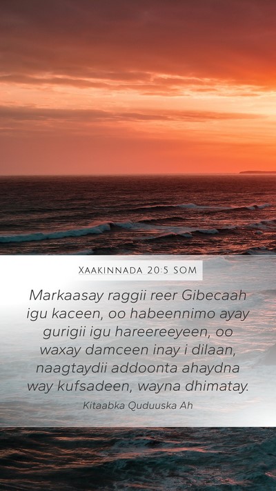Xaakinnada 20:5 SOM Bible Verse Image