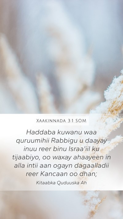 Xaakinnada 3:1 SOM Bible Verse Image