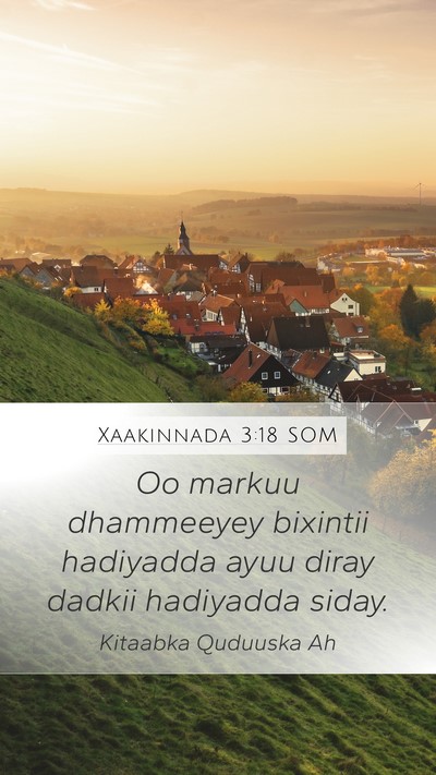 Xaakinnada 3:18 SOM Mobile Phone Wallpaper - Oo markuu dhammeeyey bixintii hadiyadda ayuu - Mobile Bible Verse Wallpaper